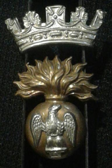 The Royal Irish Fusiliers