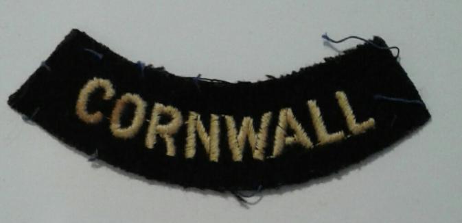 Civil Defence Division Badge