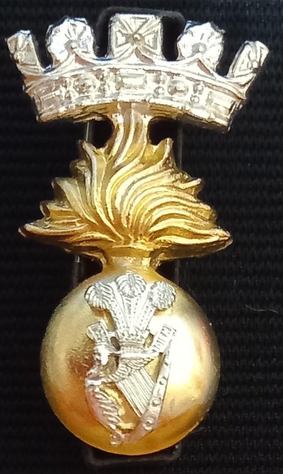 THE ROYAL IRISH FUSILIERS