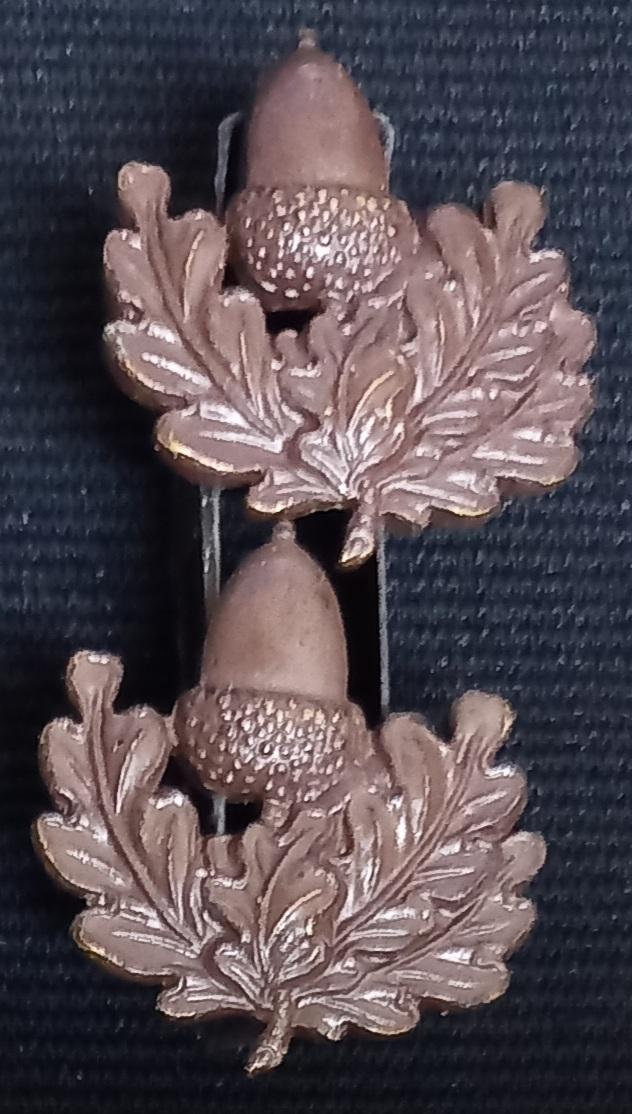 THE CHESHIRE REGIMENT