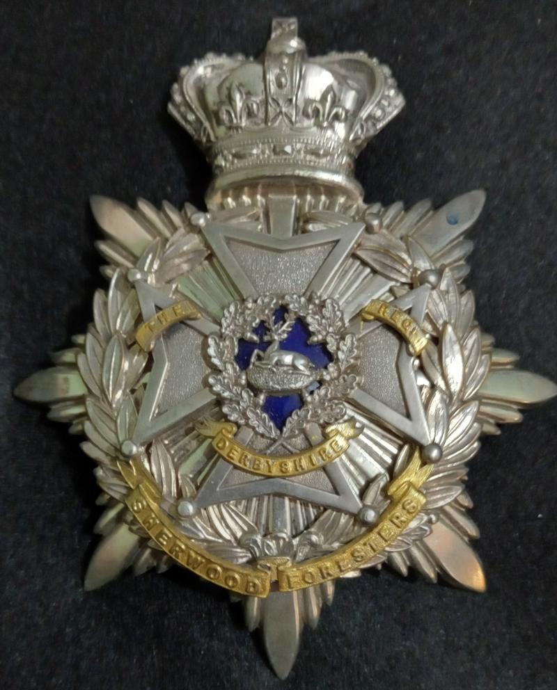 THE DERBYSHIRE REGIMENT