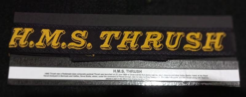 H.M.S. THRUSH  (VICTORIAN 1889)