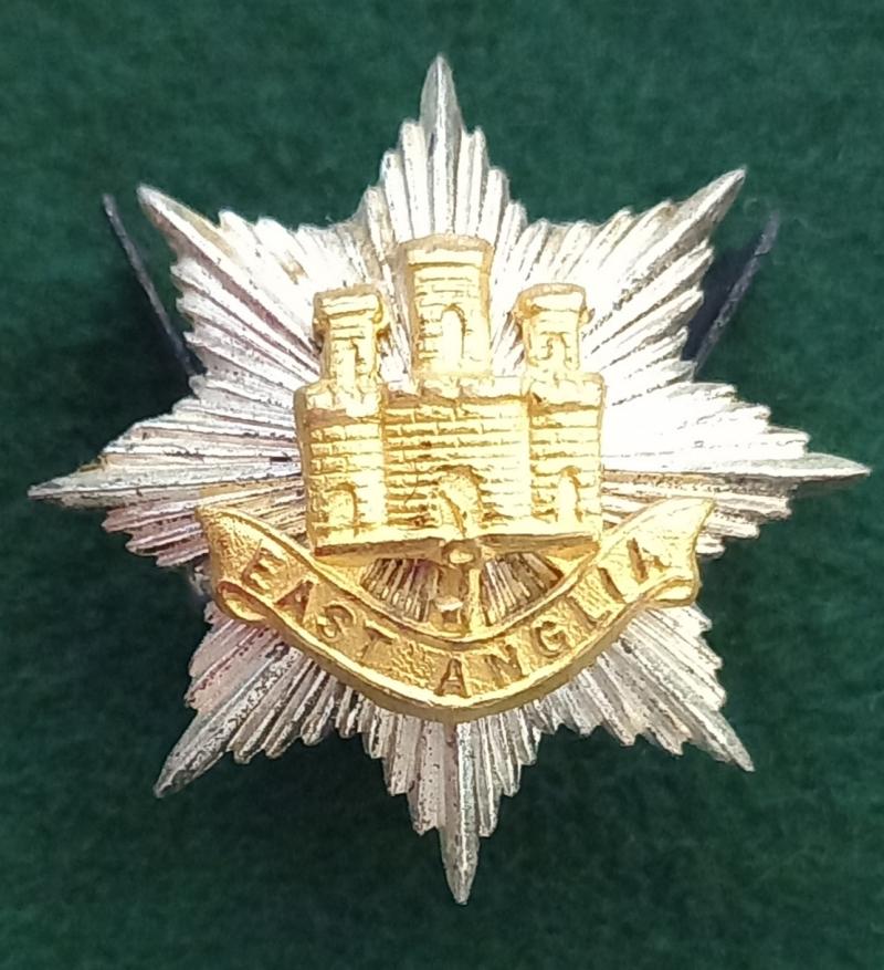 THE EAST ANGLIA BRIGADE