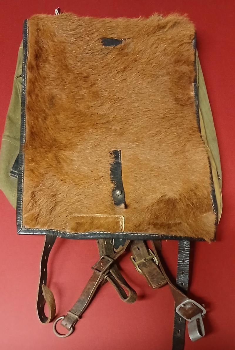 WW2 German Military M1934