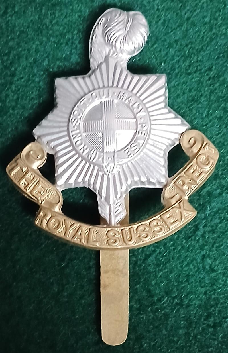 ROYAL SUSSEX REGIMENT