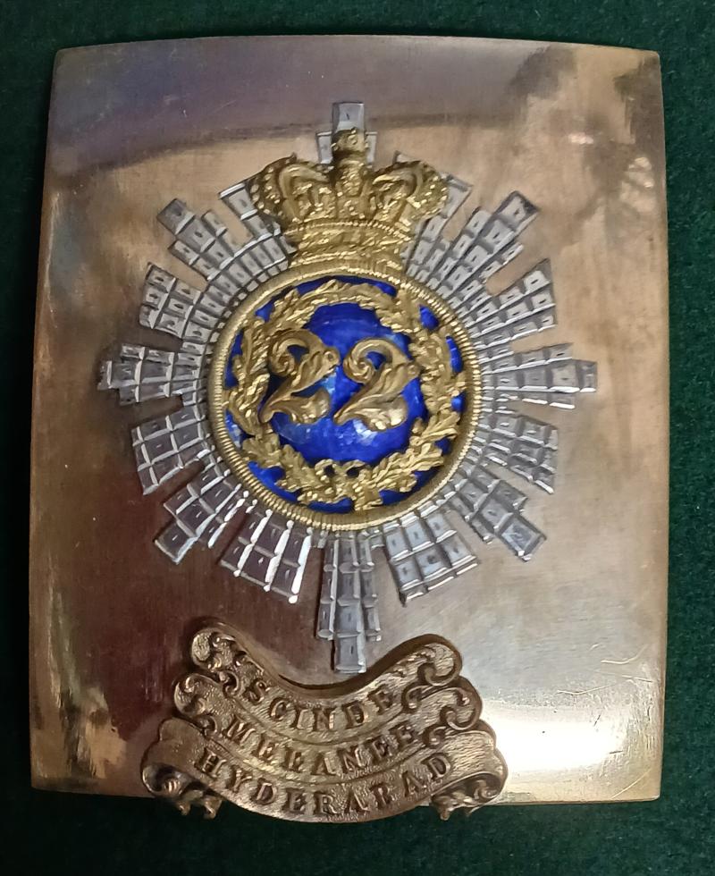 THE 22ND REGIMENT OF FOOT (CHESHIRE)