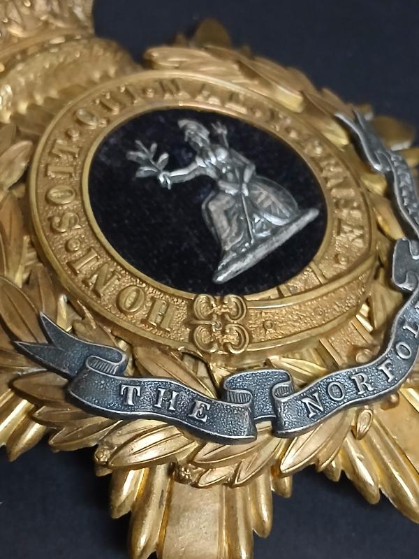 THE NORFOLK  REGIMENT